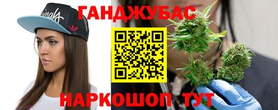 крисы Владикавказ