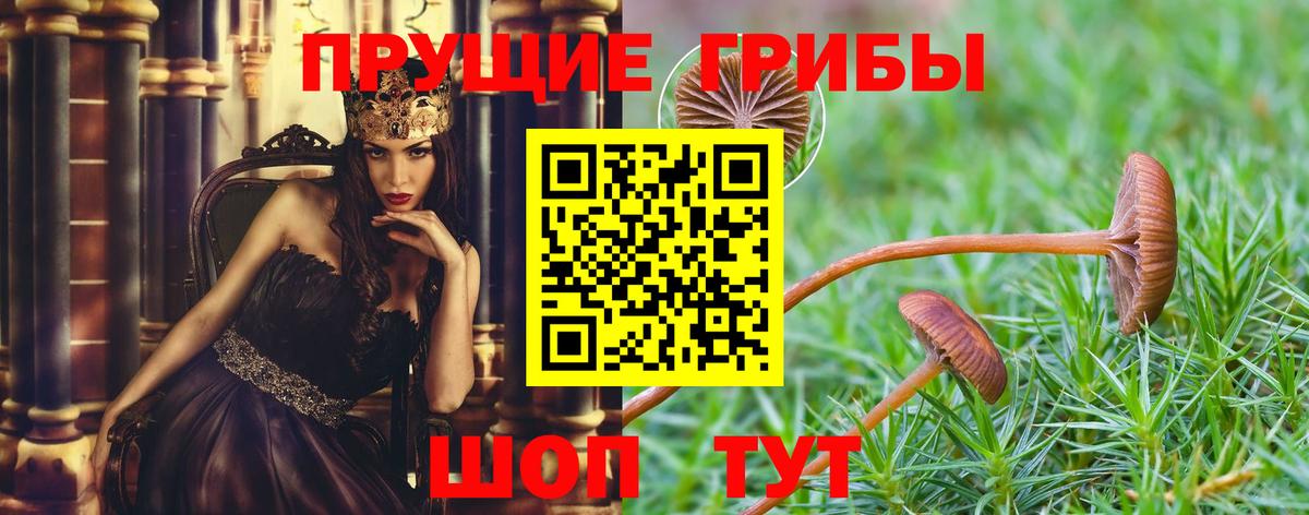 Псилоцибиновые грибы мицелий Симферополь